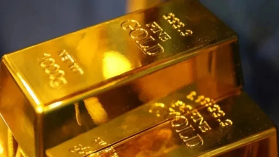 BGB arrests woman with 11 bars in Chuadanga