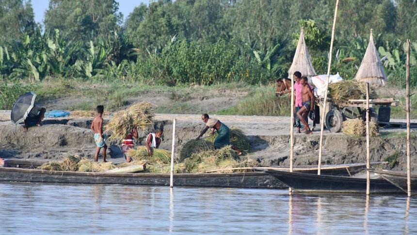 Tk 7,000cr scheme for farm sector kicks off
