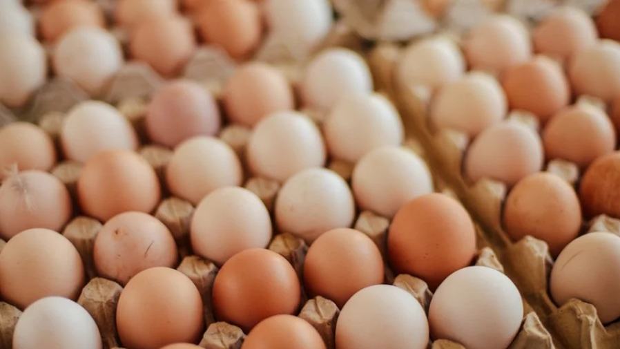 BCC slaps Diamond Egg, CP Bangladesh with Tk3.5Cr fine for market manipulation