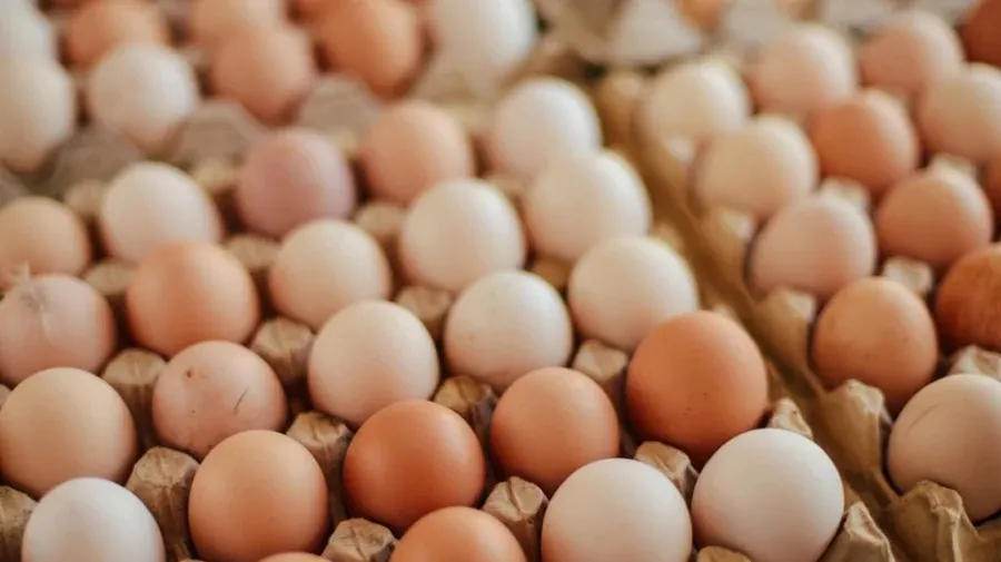 BCC slaps Diamond Egg, CP Bangladesh with Tk3.5Cr fine for market manipulation
