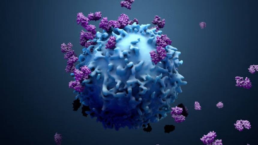 New cancer cases to soar 77% by 2050: WHO