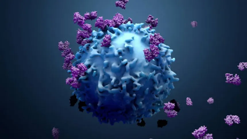 New cancer cases to soar 77% by 2050: WHO
