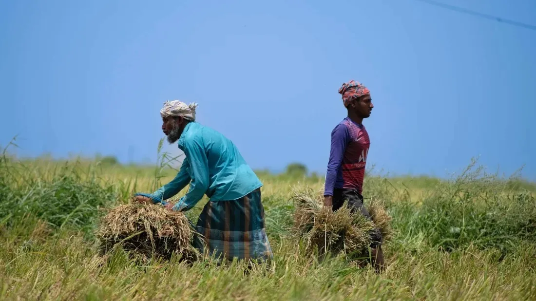 Banks give 26,667C farm loans in Jul-Mar'FY24