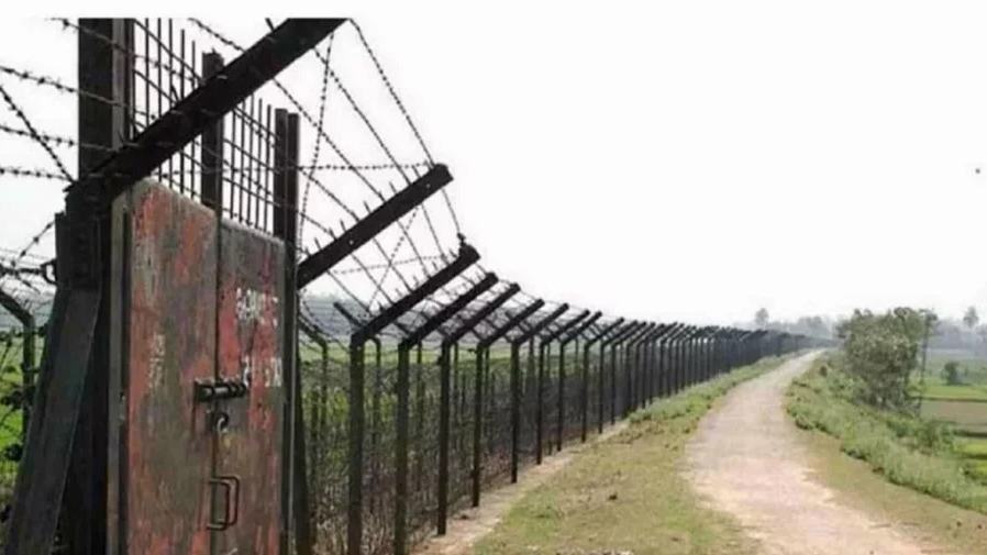Two Bangladeshis shot dead by BSF along Chuadanga border