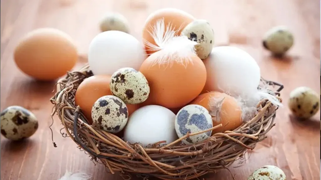5 benefits of eating eggs in the morning