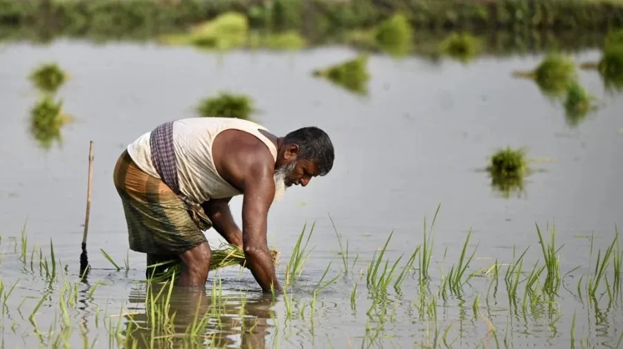Minister: Power price hike not going to affect farmers