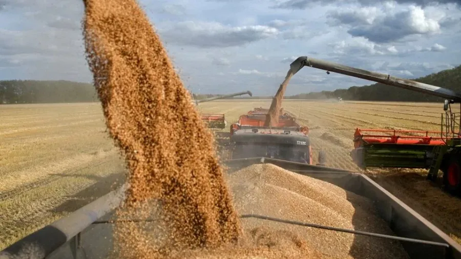 Do Russian grains feed Africa or fuel influence?