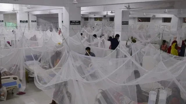 83 more dengue cases reported in 24hrs
