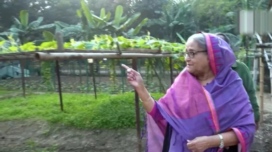 PM earns Tk96,000 by selling paddy