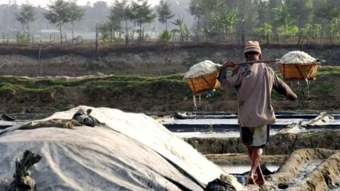 Heatwave spurs record salt production in 63 years
