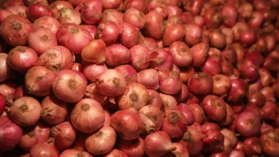 39,000 tons of onion to be imported from India ahead of Ramadan
