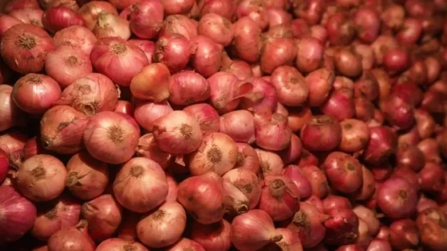 39,000 tons of onion to be imported from India ahead of Ramadan