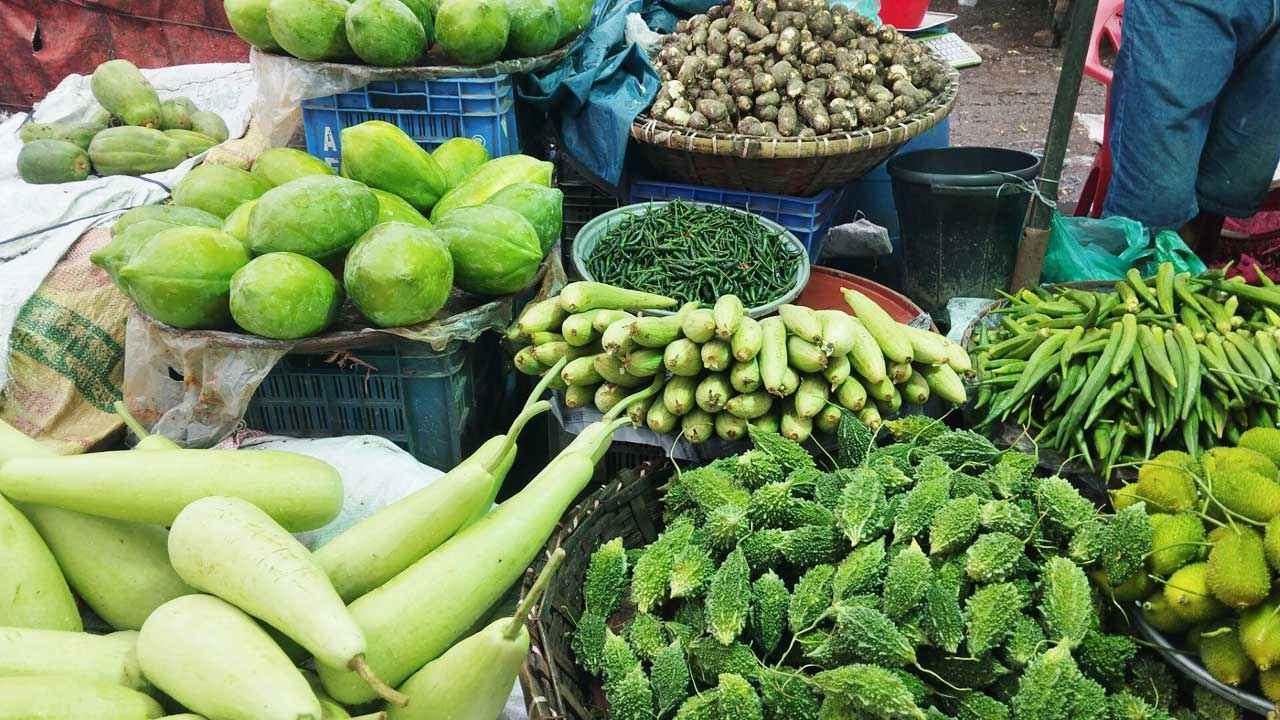 Vegitable-dmail_20260721_123626322