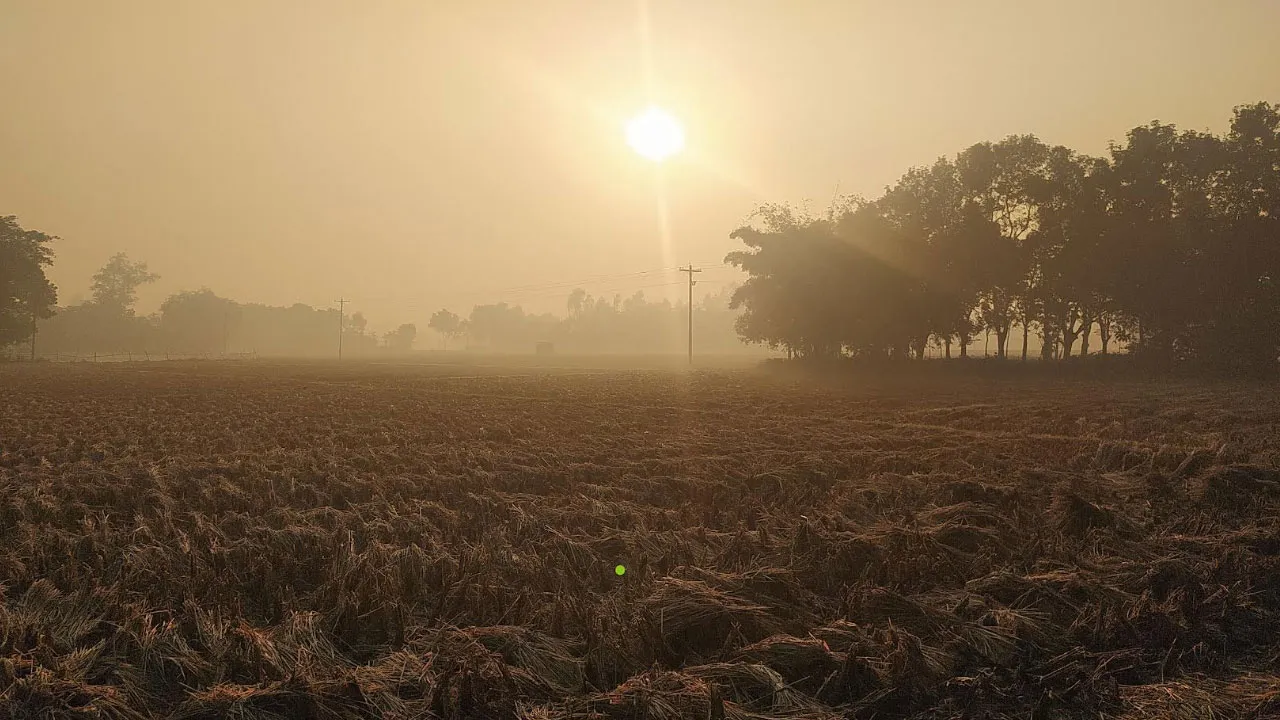 পঞ্চগড়ে বাড়ছে শীতের তীব্রতা, তাপমাত্রা নামল ১২ ডিগ্রিতে