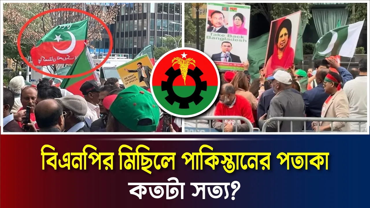 বিএনপির মিছিলে পাকিস্তানের পতাকা নিয়ে প্রশ্ন
