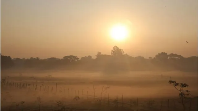 ডিসেম্বরের শেষ সপ্তাহ থেকে আসছে শৈত্যপ্রবাহ