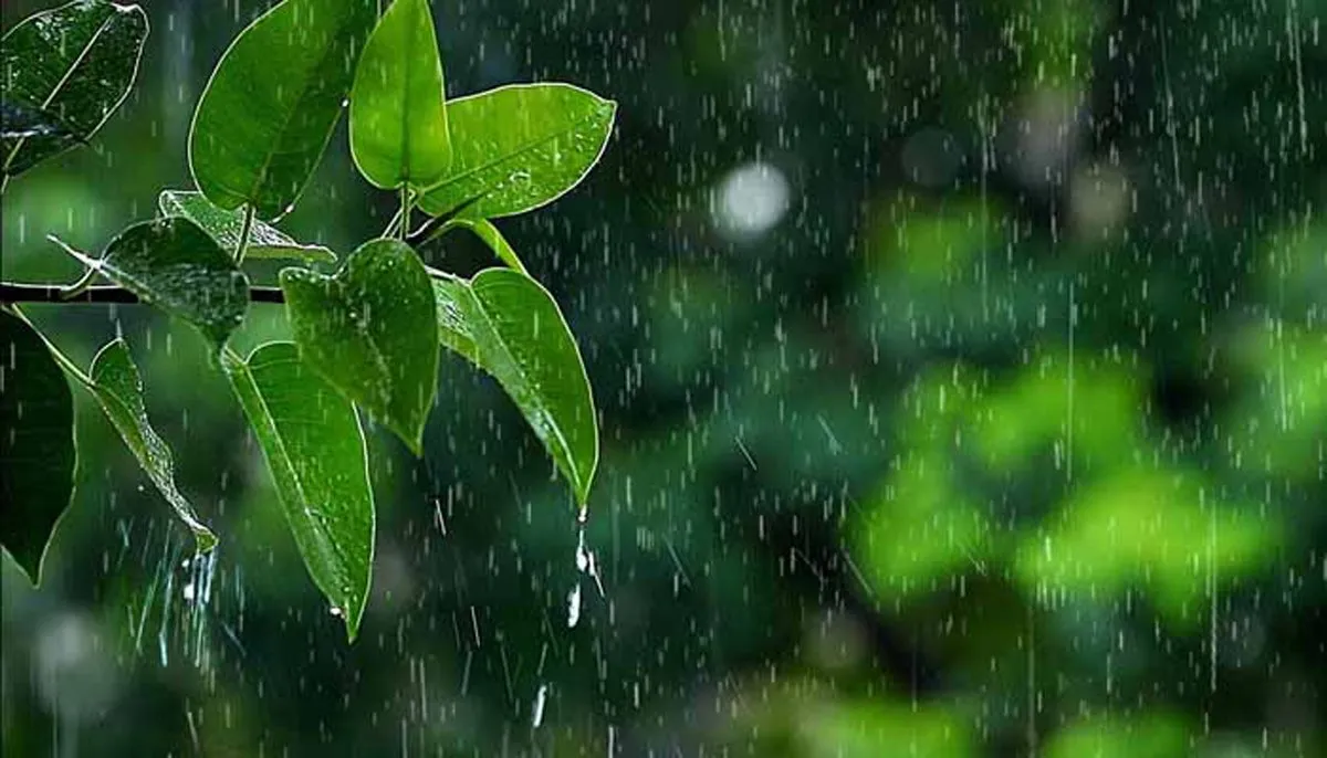 উত্তরাঞ্চলে গুঁড়িগুঁড়ি বৃষ্টি হতে পারে