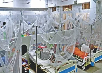 ডেঙ্গুতে আরও ১৪ জন আক্রান্ত