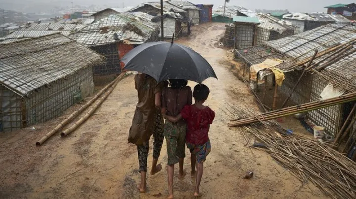 আরও রোহিঙ্গা এসেছে দেশে