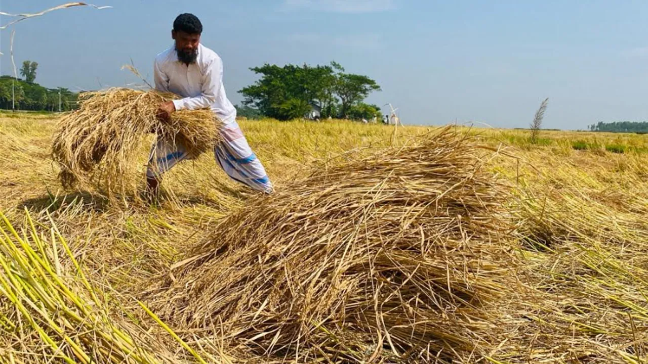 কৃষিকাজ করে মাসে লাখ টাকা আয় আরিফের