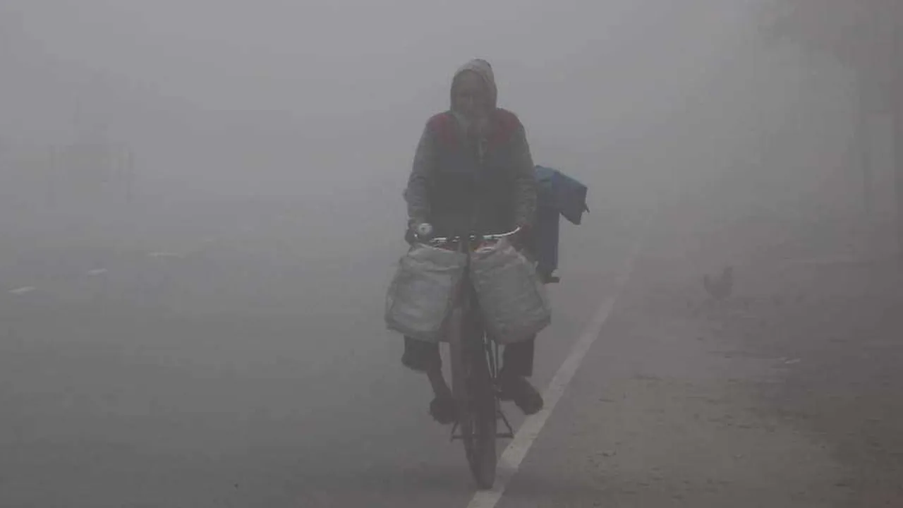 ঠাকুরগাঁওয়ের তাপমাত্রা নামলো ৯ ডিগ্রিতে