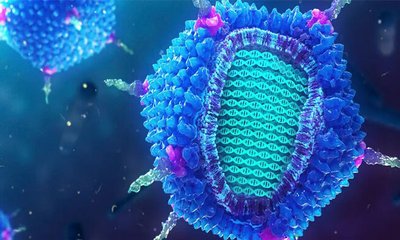 adenovirus-20231226083709