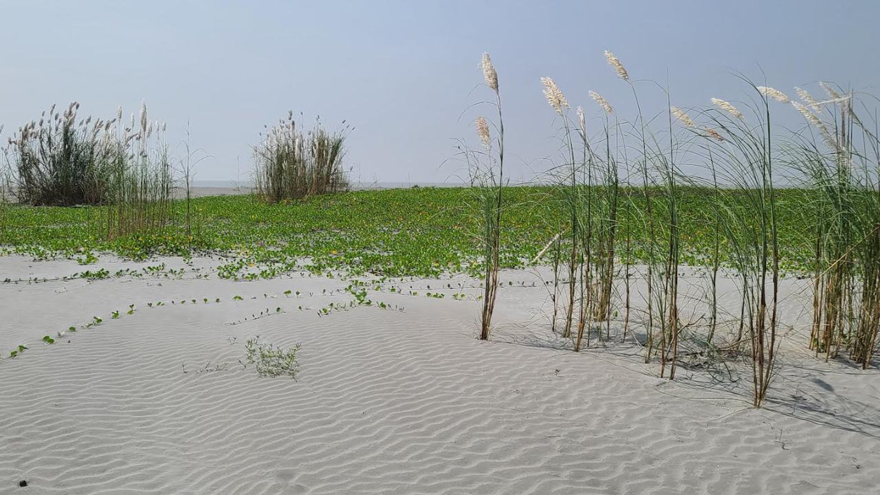 সমুদ্রের বুকে এ যেন এক নতুন বাংলাদেশ