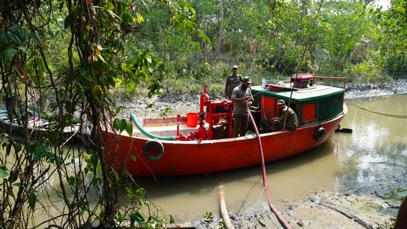 ৪৮ ঘণ্টা পর সুন্দরবনের আগুন সম্পূর্ণ নিয়ন্ত্রণে, চলছে সর্বশেষ তল্লাশি