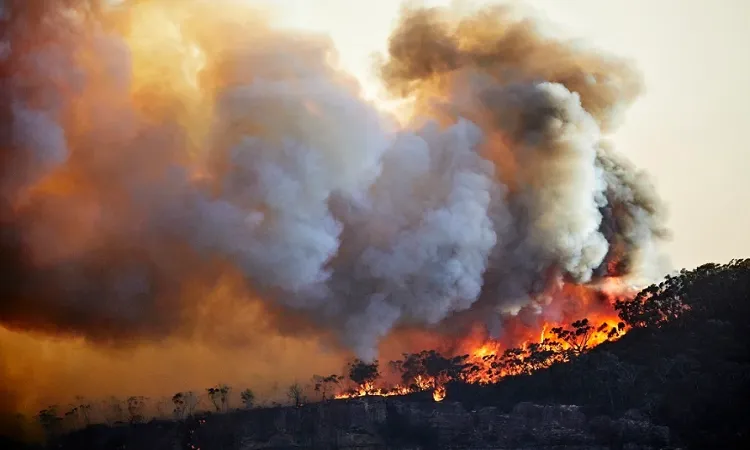 Global warming, wildfires to worsen air pollution: UN