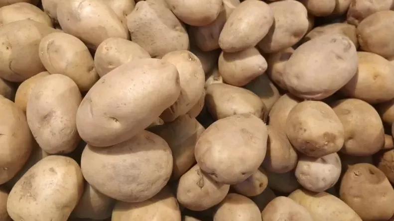 এবার বাড়তে শুরু করেছে আলুর দাম