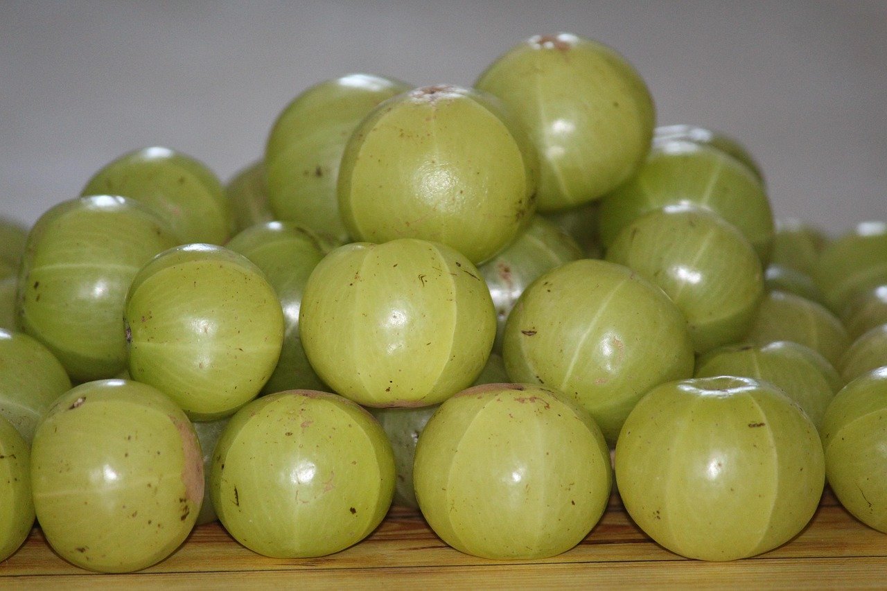 amla-5787456-1280-20251207113531