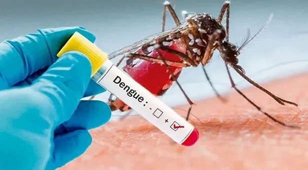 ডেঙ্গুতে আরও ১ জনের মৃত্যু, শনাক্ত ২৪০