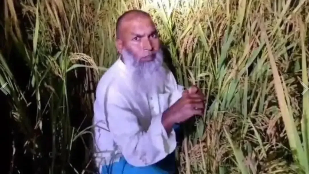 গোবিন্দগঞ্জে ধানক্ষেত থেকে আওয়ামী লীগ নেতা গ্রেপ্তার
