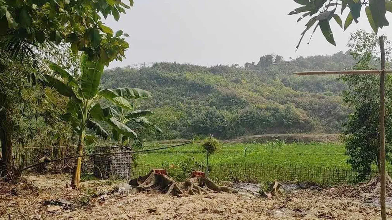 সীমান্তে এক দিনে ৫ বাংলাদেশি গুলিবিদ্ধ