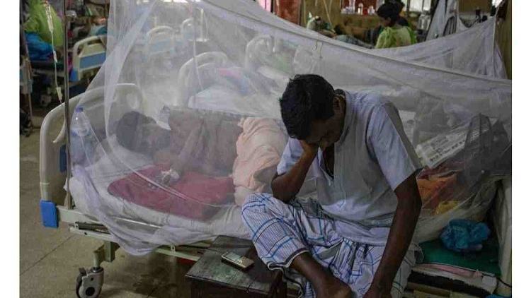 Dengue fever: 66 more patients hospitalised in 24 hrs