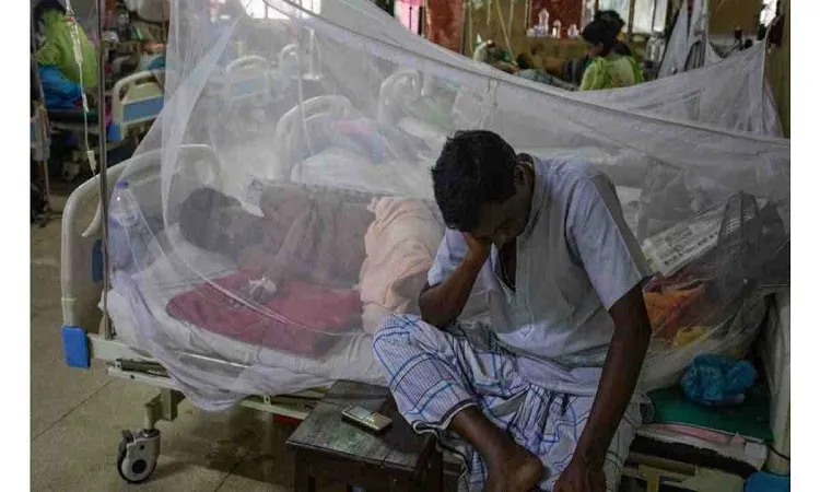 Dengue fever: 66 more patients hospitalised in 24 hrs