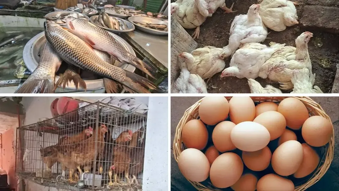 মাছ-মুরগি-ডিমের বাড়তি দামে চাপে ক্রেতারা