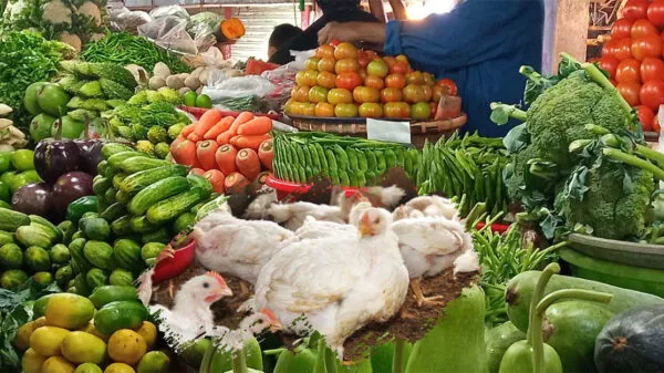 সবজির দাম চড়া, মুরগির দামও বাড়তি