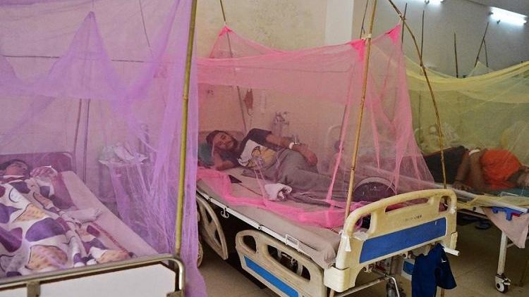 Dengue menace: 1 dies, 10 hospitalised in 24hrs
