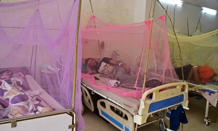 Dengue menace: 1 dies, 10 hospitalised in 24hrs