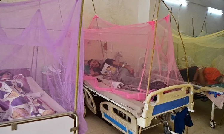 Dengue Fever: 21 person hospitalised in 24hrs