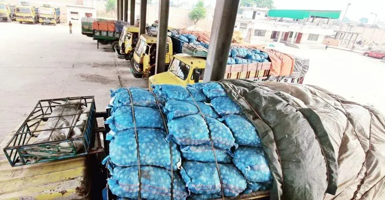 তীব্র গরমে বেনাপোলে পচছে আমদানি করা ৩৭০ টন আলু