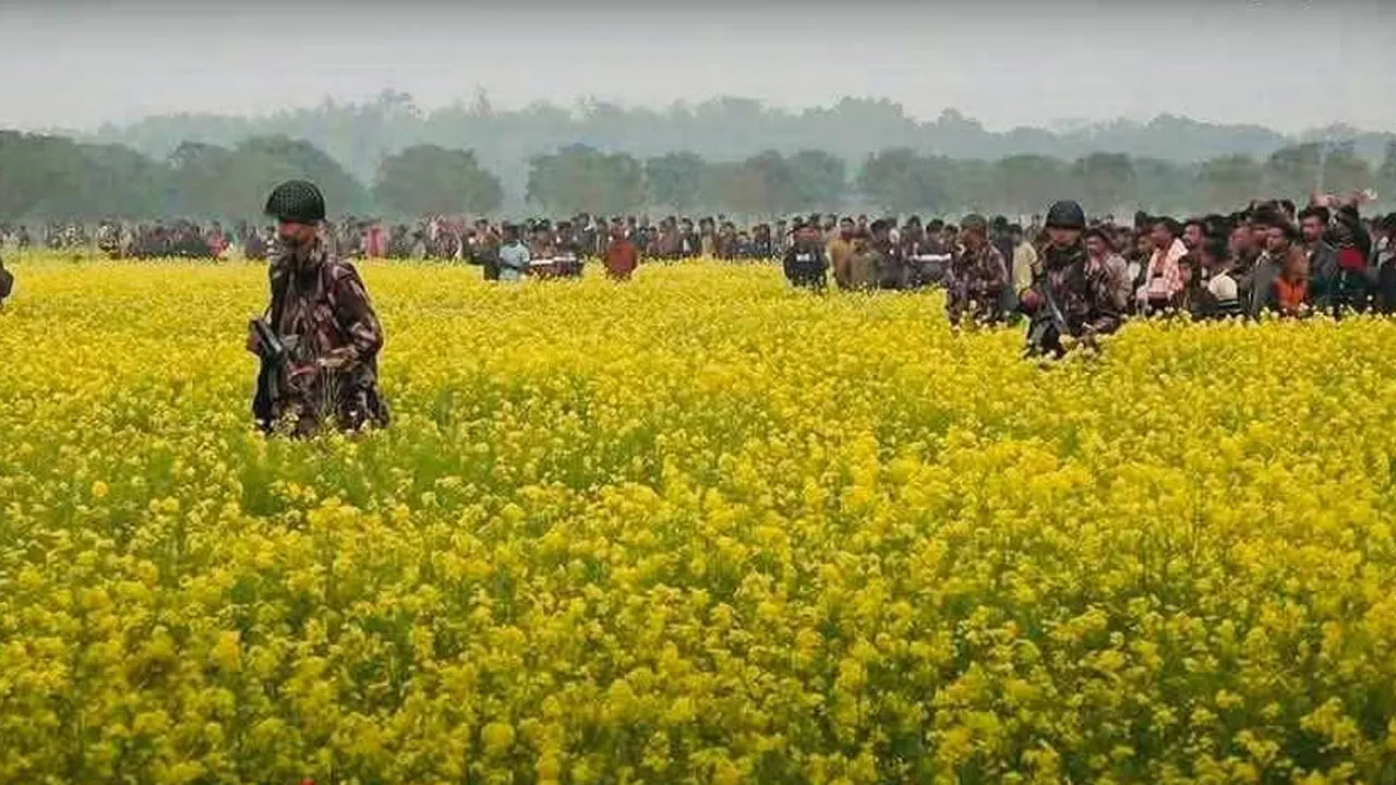 সীমান্তে বেড়া নির্মাণ বন্ধ রাখার সিদ্ধান্ত বিএসএফের