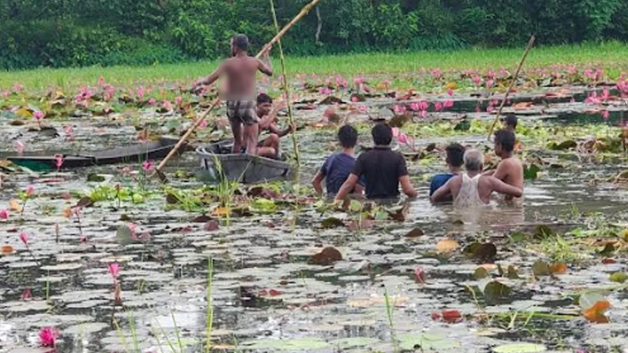 কাপাসিয়ায় শাপলা দেখতে গিয়ে নৌকাডুবে দুই বন্ধুর মৃত্যু