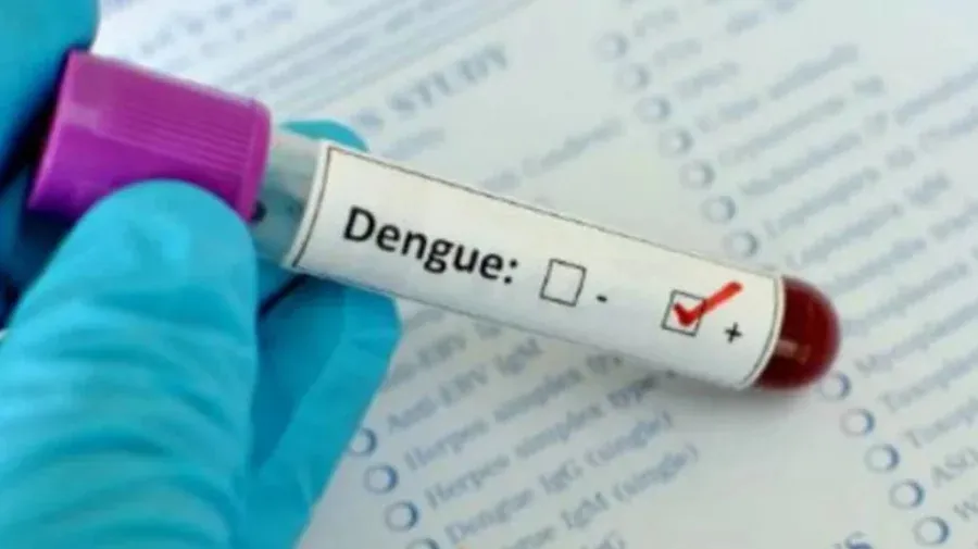 3 more dengue patients hospitalized in 24 hours