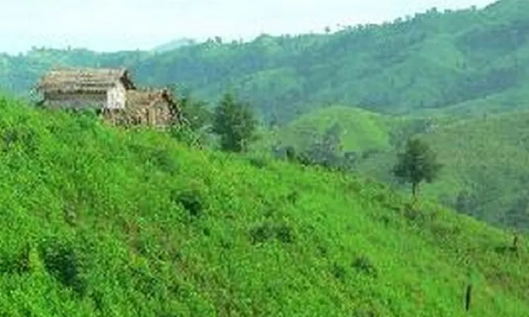 পাহাড়ি সন্ত্রাসীদের বিরুদ্ধে চিরুনি অভিযান