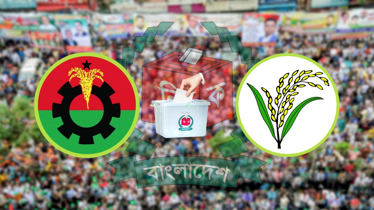 bnp