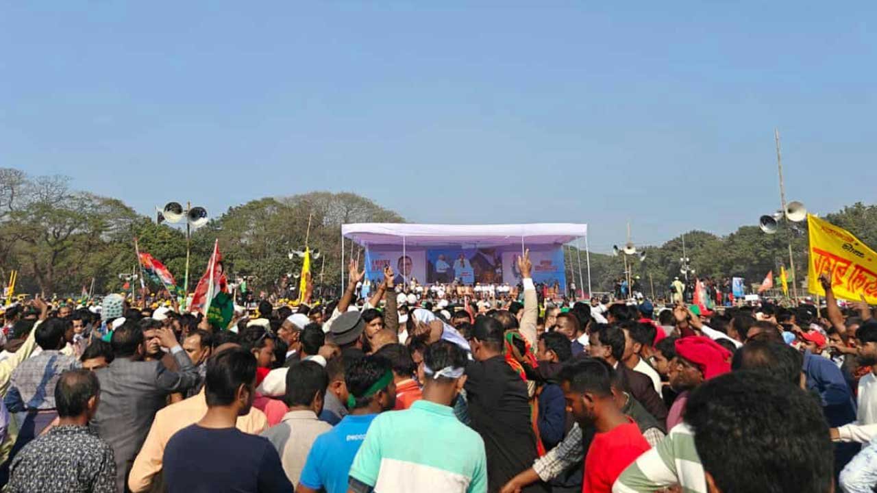 bnp