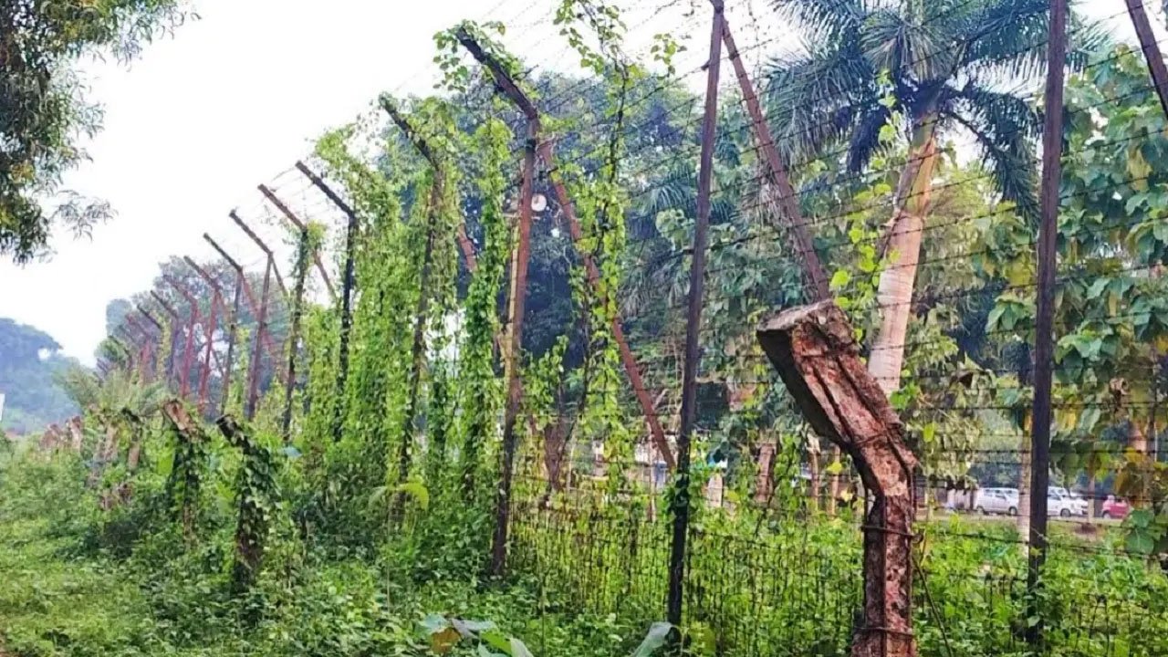border-20250525102639