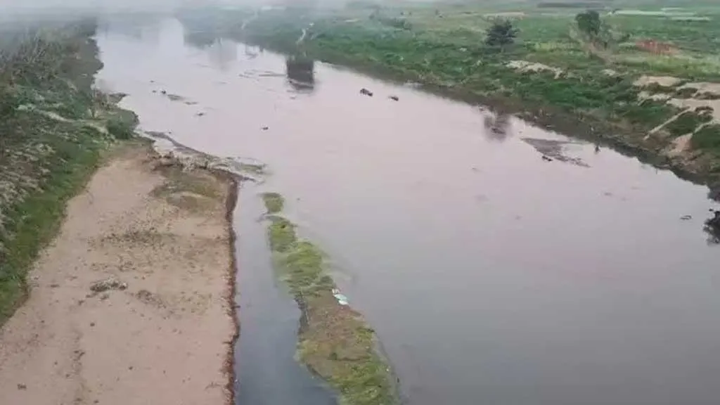 বাংলাদেশ সীমান্তের নদীতে কুমির ও সাপ ছাড়তে চায় ভারত